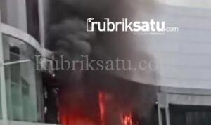 Screenshot_20250211_084632_Facebook