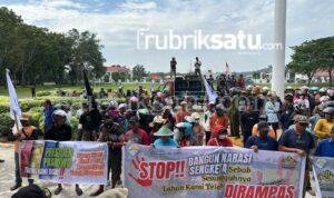 WhatsApp Image 2025-02-03 at 20.00.27 (1)