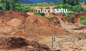 WhatsApp Image 2025-02-05 at 18.00.54