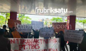 WhatsApp Image 2025-02-11 at 18.13.27