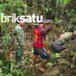 IMG-20250425-WA0056