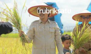 FB_IMG_1746594945046