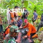 IMG-20250715-WA0011