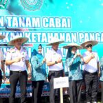 Kolaborasi PKK & Pemda, Cabai Jadi Kunci Stabilisasi Harga