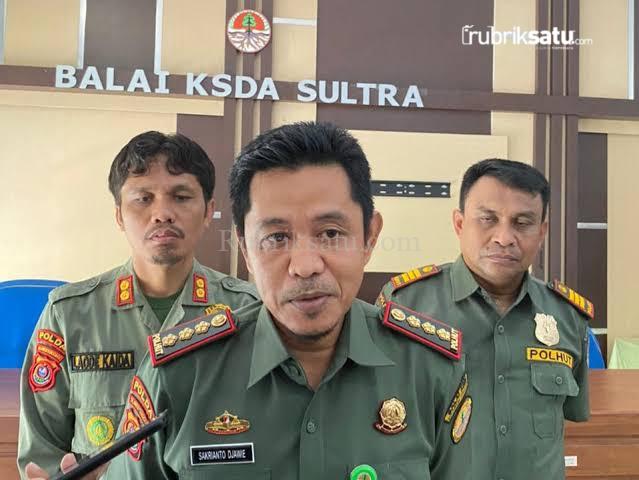 Konservasi Laut Terabaikan, PT Daka Diduga Dua Tahun Bebas Melintas Tanpa Izin