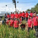 Tri Rismaharini Dorong Ibu Rumah Tangga Konawe Jadi Produsen Kreatif Tri Rismaharini Dorong Ibu Rumah Tangga Konawe Jadi Produsen Kreatif