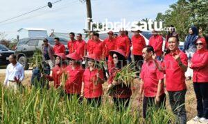 Tri Rismaharini Dorong Ibu Rumah Tangga Konawe Jadi Produsen Kreatif