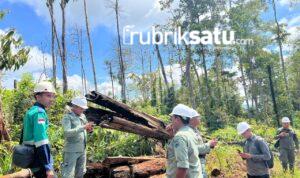 IMG-20260110-WA0059(1)