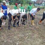Pemanfaatan Lahan SAE, Rutan Unaaha Dorong Kemandirian WBP lewat Pertanian Jagung