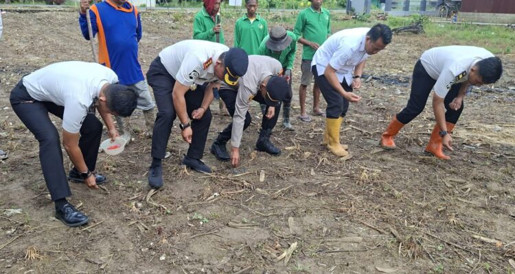 Pemanfaatan Lahan SAE, Rutan Unaaha Dorong Kemandirian WBP lewat Pertanian Jagung
